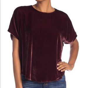 Madewell short sleeve velvet top